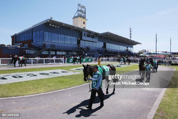 General view is seen during Cranbourne Cup Day at on October 15, 2017 in Cranbourne, Australia.