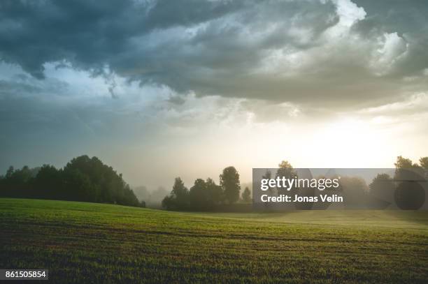 landskap i sverige - landskap fotografías e imágenes de stock