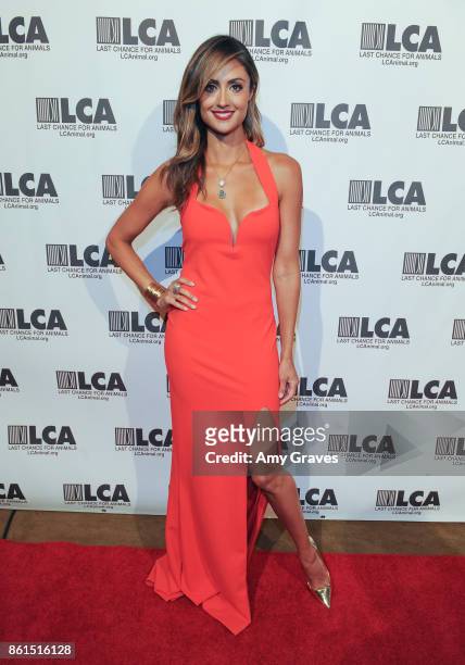 Katie Cleary attends the Last Chance For Animals 33rd Annual Celebrity Benefit Gala - Arrivals at The Beverly Hilton Hotel on October 14, 2017 in...