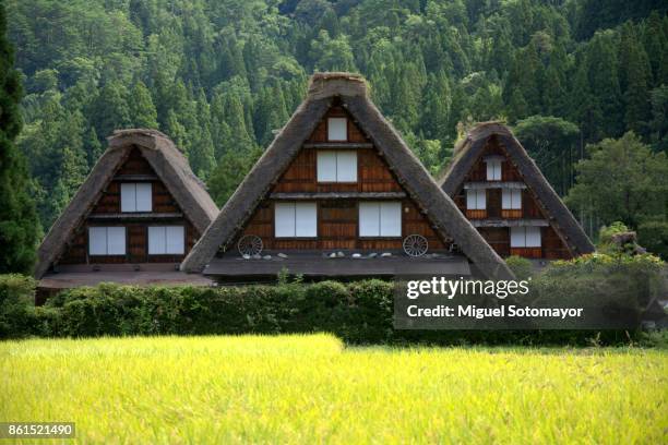 shirakawago - shirakawa go stock pictures, royalty-free photos & images