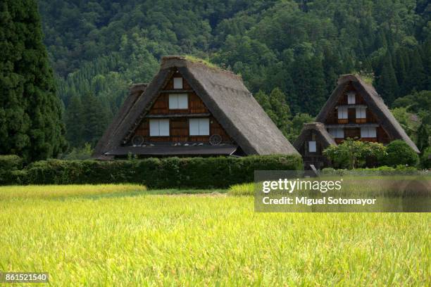 shirakawago - shirakawa go - fotografias e filmes do acervo