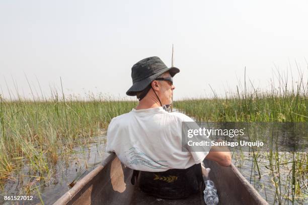 exploring the okavango delta on dugout canoe - dugout canoe fotografías e imágenes de stock