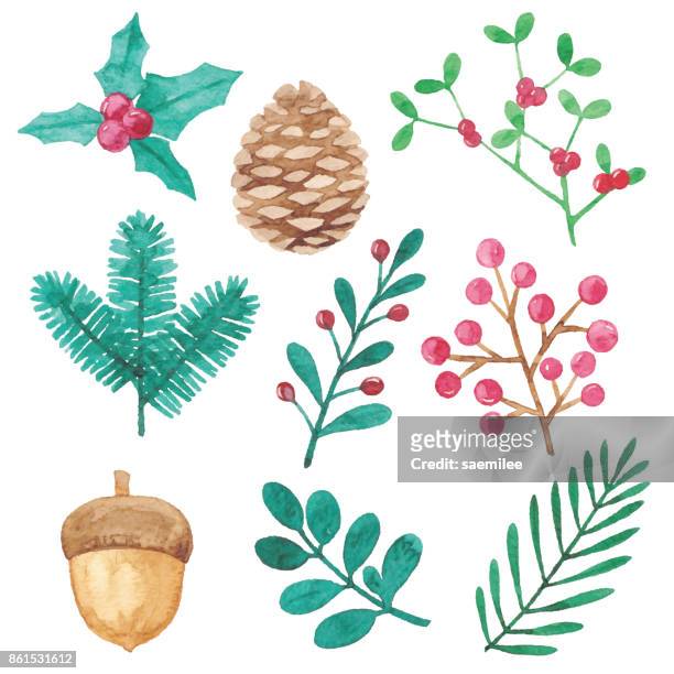 aquarell winter pflanzen design-elemente - weihnachten symbolbilder stock-grafiken, -clipart, -cartoons und -symbole
