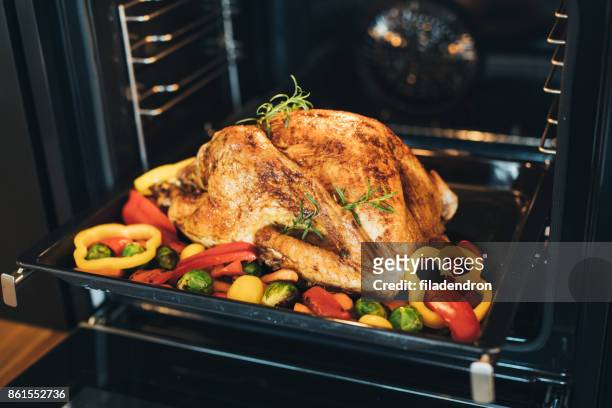 turkey with vegetables - chicken roasting oven stock pictures, royalty-free photos & images