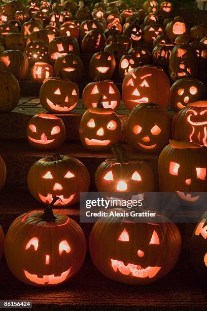 halloween pumpkins - jack o lantern stock-fotos und bilder