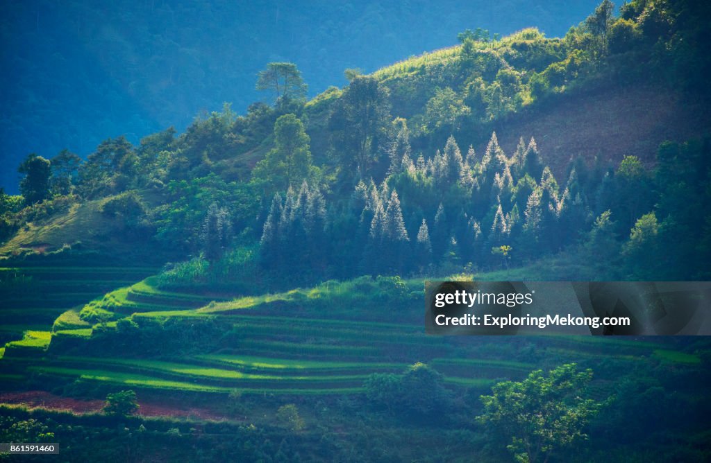 Vietnam landscape with terrace fields