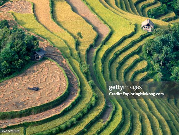 vietnam landscape with terrace fields - terraced cottage stock pictures, royalty-free photos & images