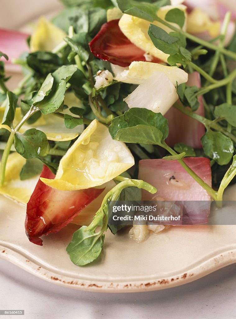 Mixed green and endive salad