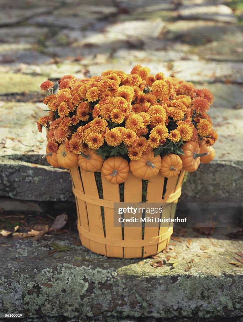 Autumn flower arrangement in basket