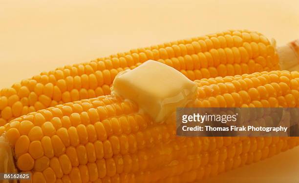 corn on the cob -  firak stock pictures, royalty-free photos & images