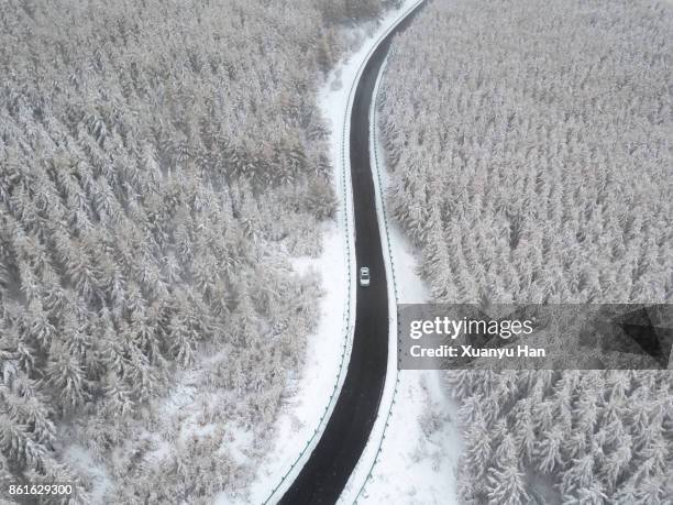 Road through the wintery forest