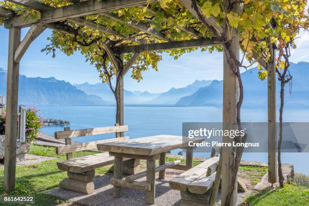 idyllic picnic spot, on the side of the road in the middle of the lavaux vinyards region, a unesco world heritage site. lake geneva, the swiss and french alps in the backdrop. canton of vaud, switzerland - cenador fotografías e imágenes de stock