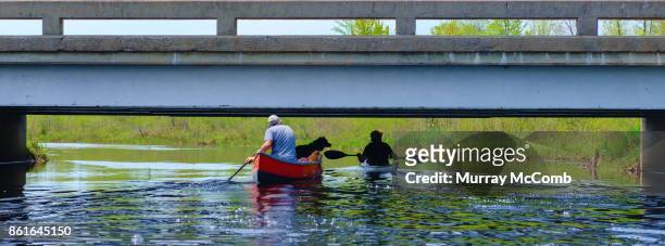 seniors exploring irish creek - murray mccomb stock pictures, royalty-free photos & images