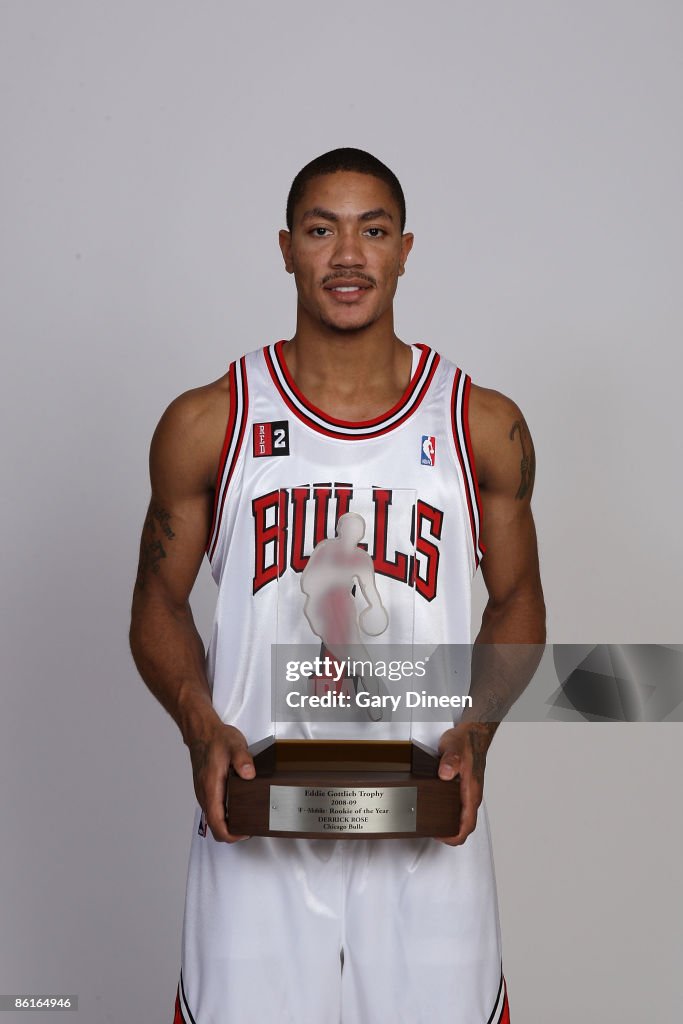 D Rose Rookie Derrick Rose Rookie