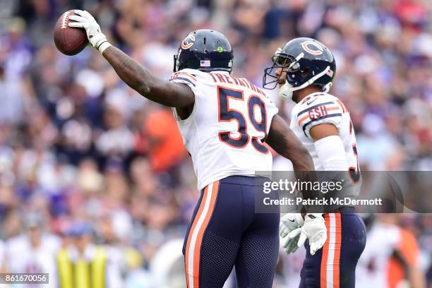 Inside Linebacker Danny Trevathan of the Chicago Bears celebrates after recovering a fumble in the second quarter against the Baltimore Ravens at M&T...