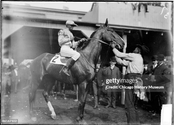 Image of Flying Torpedo, being positioned for viewing in a paddock by an African American jockey and handler at Harlem Race Track located near...