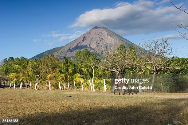 isla de ometepe - rivas department stock pictures, royalty-free photos & images