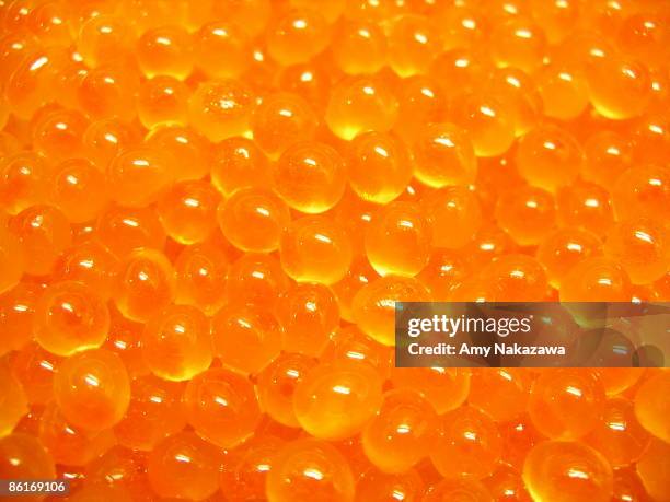 ikura - ikura stock pictures, royalty-free photos & images