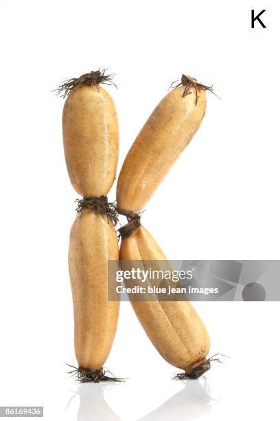 Root K K Root Photos and Premium High Res Pictures - Getty Images