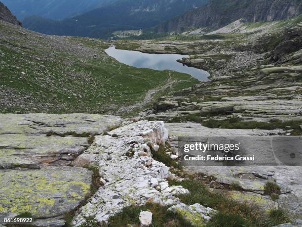 155 Inclusion (Mineral) Stock Photos, High-Res Pictures, and Images ...