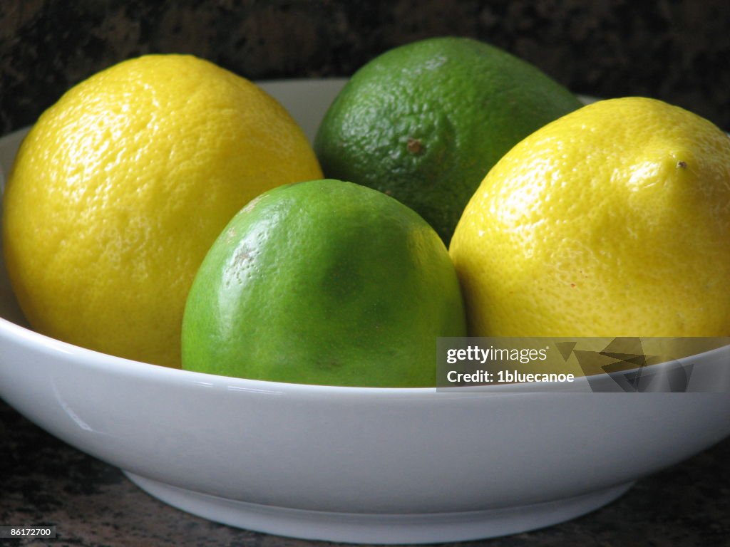 Citrus Still Life
