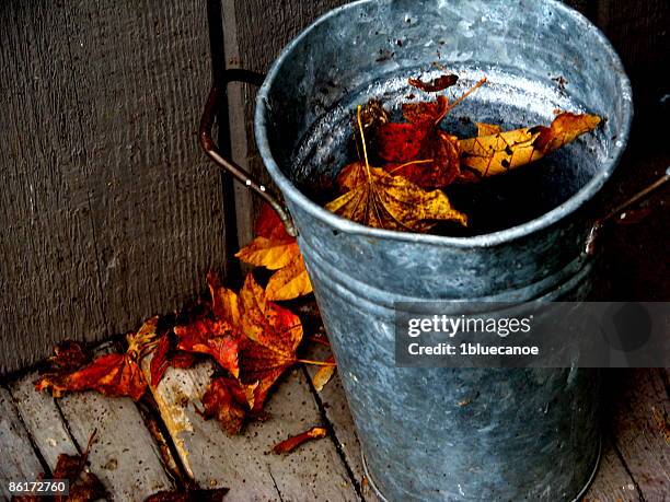 autumn still life - gig harbor stock pictures, royalty-free photos & images