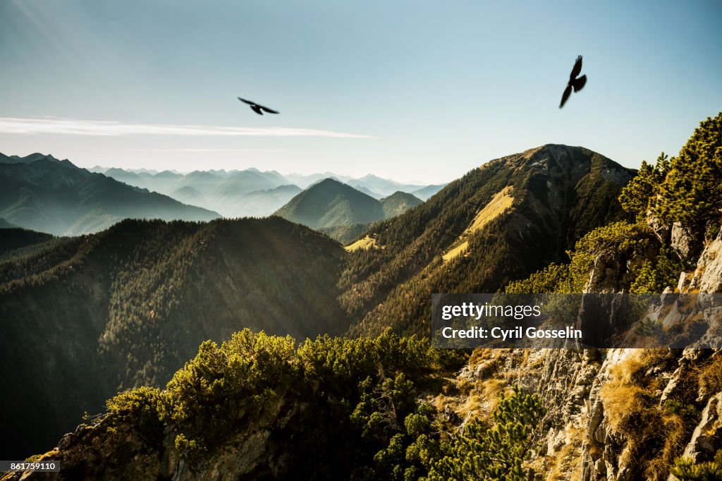 Outlook from Martinskopf summit over the Bavarian Alps