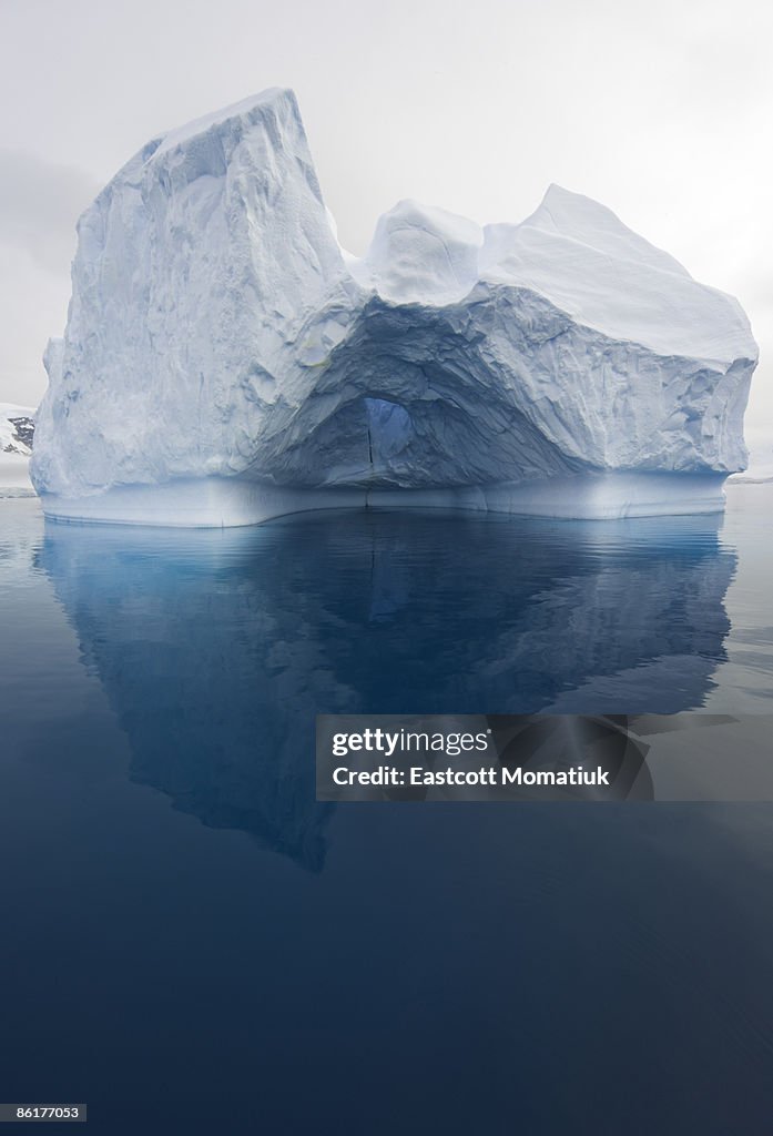 Iceberg and reflections, Antarctic Peninsula