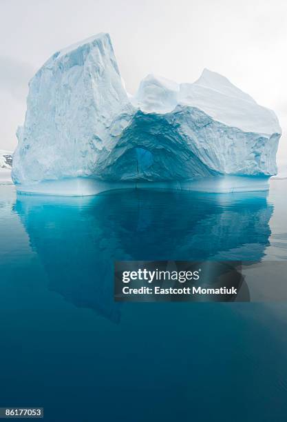 iceberg and reflections, antarctic peninsula - iceberg bildbanksfoton och bilder