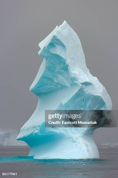 iceberg, antarctic peninsula  - antarctic peninsula stock pictures, royalty-free photos & images