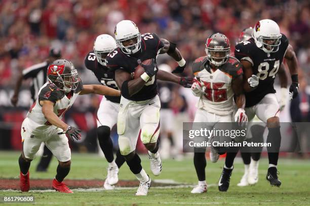 Running back Adrian Peterson of the Arizona Cardinals rushes the football past cornerback Brent Grimes and defensive back Robert McClain of the Tampa...