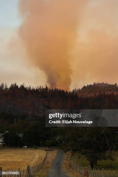 Plume of smoke from the Oakmont fire east of Santa Rosa is seen on Oct. 15, 2017 in Santa Rosa, California.