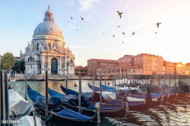 river side view of santa maria della salute church,venice - venice italy fotografías e imágenes de stock