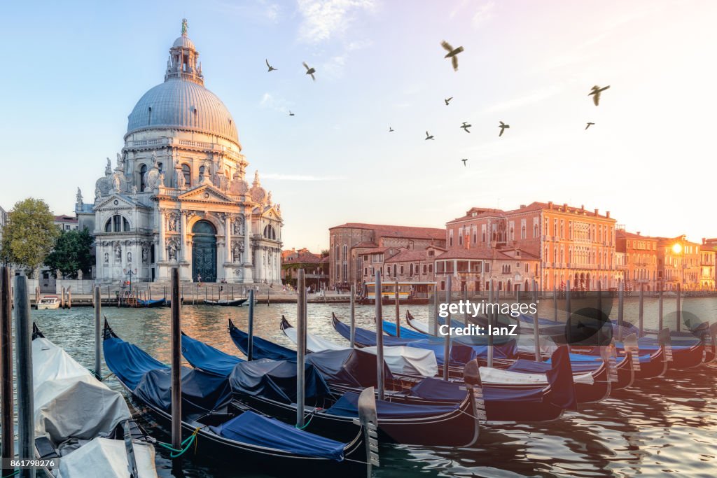 River side view of Santa Maria Della salute Church,venice