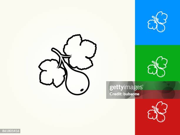 fig fruit black stroke linear icon - figs stock illustrations