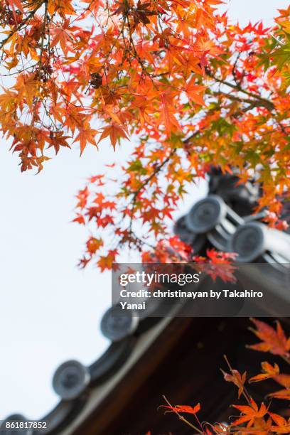 komyoji temple - christinayan stock pictures, royalty-free photos & images