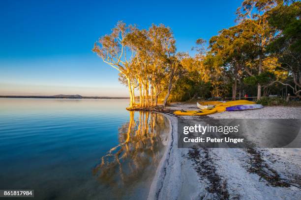 noosa everglades in the noosa hinterlands,queensland,australia - noosa queensland stock pictures, royalty-free photos & images