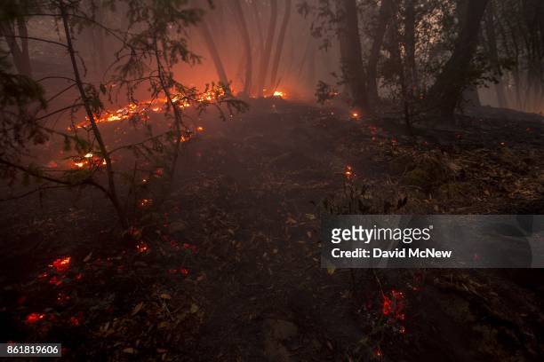 Backfire is set by firefighters to protect houses in Adobe Canyon smolders near a house during the Nuns Fire on October 15, 2017 near Santa Rosa,...
