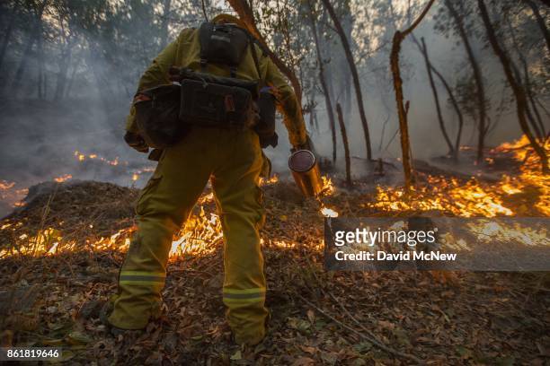 Firefighter uses a drip torch to set a backfire to protect houses in Adobe Canyon during the Nuns Fire on October 15, 2017 near Santa Rosa,...