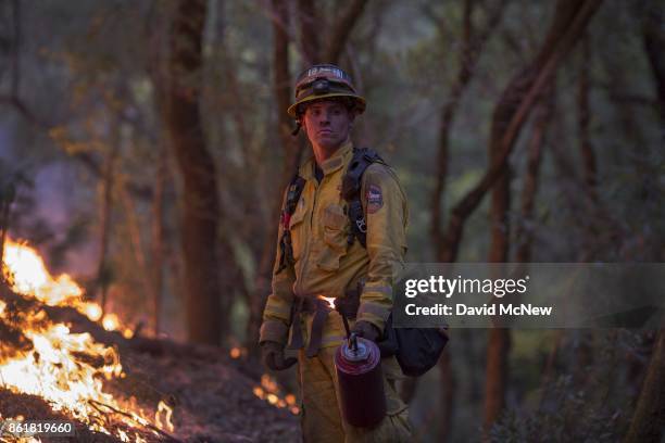 Firefighter uses a drip torch to set a backfire to protect houses in Adobe Canyon during the Nuns Fire on October 15, 2017 near Santa Rosa,...