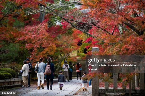 komyoji temple - christinayan stock pictures, royalty-free photos & images