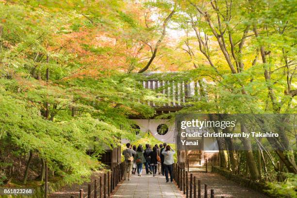 komyoji temple - christinayan stock pictures, royalty-free photos & images