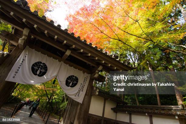 komyoji temple - christinayan stock pictures, royalty-free photos & images