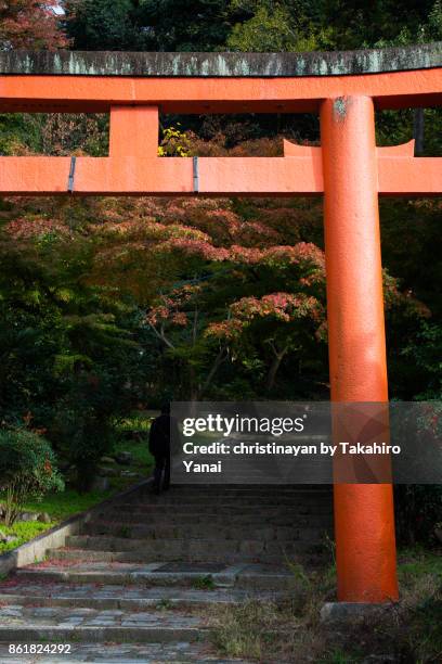 yoshida temple - christinayan 個照片及圖片檔