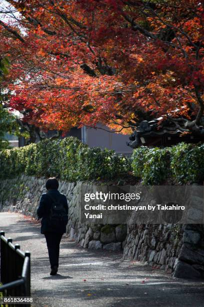 zengein temple - christinayan stock pictures, royalty-free photos & images