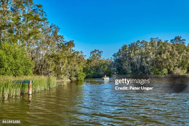 noosa river and the noosa everglades,noosa heads,queensland,australia - lakes entrance stock pictures, royalty-free photos & images