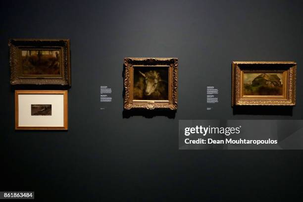 General view of Study of a Ram's Head by Matthijs Maris during a special exhibition held at the Rijksmuseum Exhibition on October 13, 2017 in...