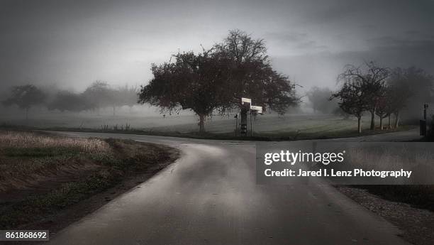 a fork in the road on a foggy country morning - crossroad stock pictures, royalty-free photos & images