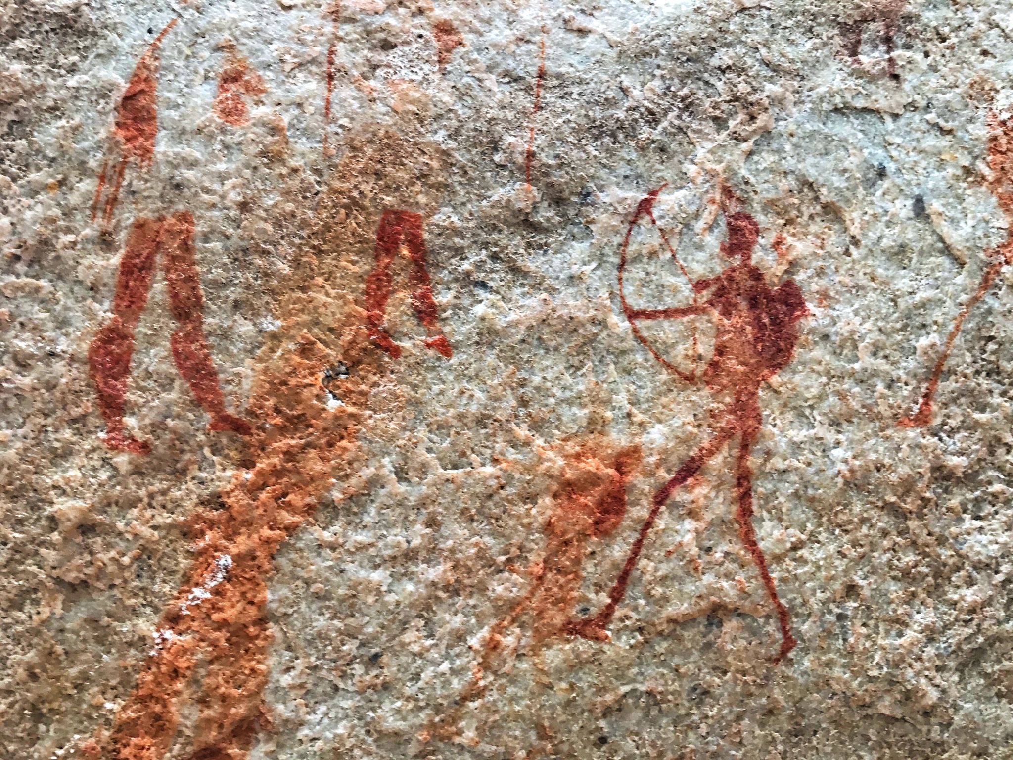 Bushman cave paintings in the Cederberg mountains,south Africa Bushman cave paintings in the Cederberg mountains,south Africa