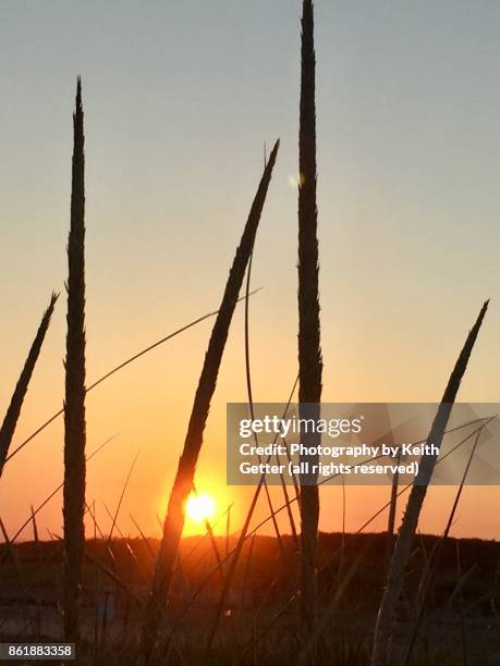 Fortilden 453 Fort Tilden Stock Photos, High-Res Pictures, and Images - Getty Images